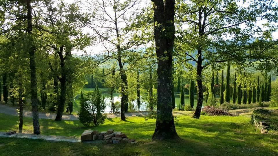 Holiday House Le Selvole Радда-ін-К'янті Номер фото
