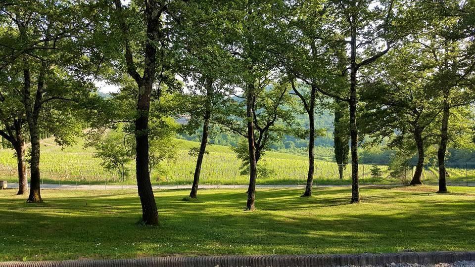 Holiday House Le Selvole Радда-ін-К'янті Екстер'єр фото