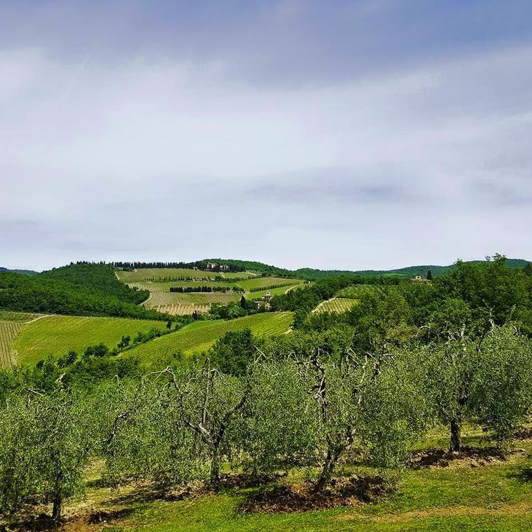 Holiday House Le Selvole Радда-ін-К'янті Номер фото