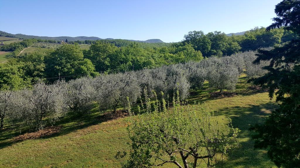 Holiday House Le Selvole Радда-ін-К'янті Екстер'єр фото